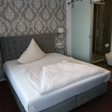Hotel Petri 3*